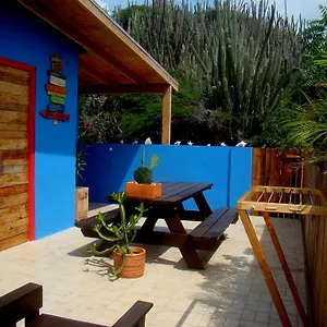 Hopi Cadushi Aruba
